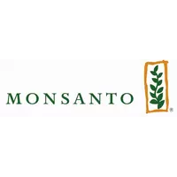 Семена кукурузы Монсанто (Monsanto) Декалб