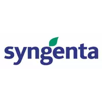 Посевной материал Syngenta (Сингента)