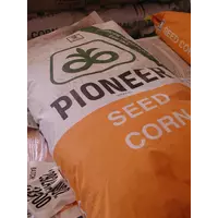 Посевной материал кукурузы Пионер (Pioneer)